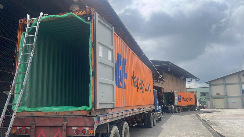 Вкладыш Для Контейнера Из Полиэтилена 5,9*2,4 М, Изготовленный На Заказ, Для Контейнеров Насыпью Кукурузы