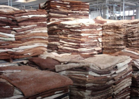 //imrorwxhonlklr5q-static.micyjz.com/cloud/lnBpiKniloSRllqrprrljo/Raw-Cattle-Hides-for-Leather-Production-Sema-Asia-min.jpg