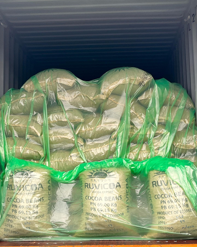 Вкладыш Для Контейнера Из Полиэтилена 5,9*2,4 М, Изготовленный На Заказ, Для Контейнеров Насыпью Кукурузы